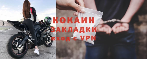 индика Михайловка