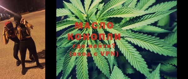 индика Михайловка