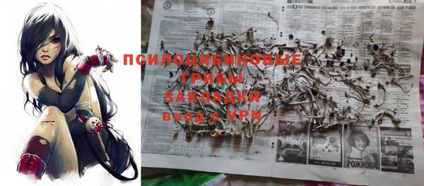 индика Михайловка